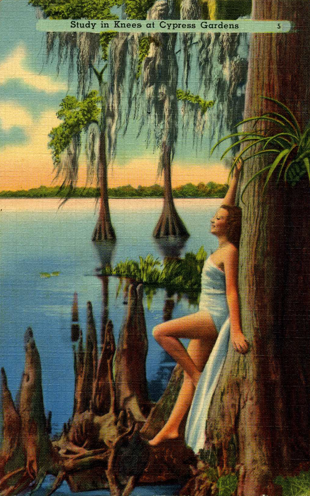 Cypress Gardens Postcard to Frank